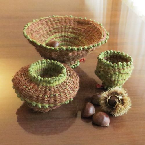 Collections - Bois de mousse en trio © - 3