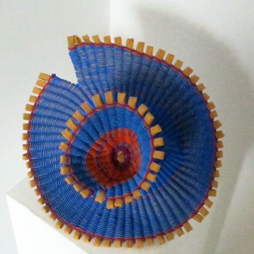 Collections - Fleur bleue © - 5