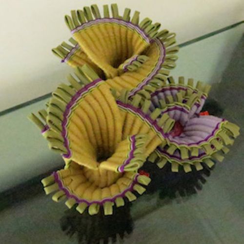 Collections - Papyrus & Nénufar en trio © - 2