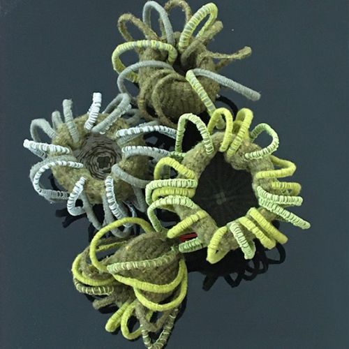 Collections - Foisonnement Series © - 2