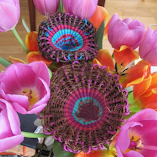 Collections - Les Cénotines © - 6