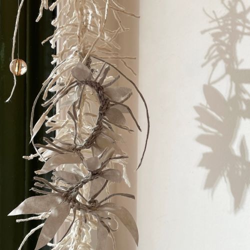 Collections - Dragontina - Detail in reflection © 4