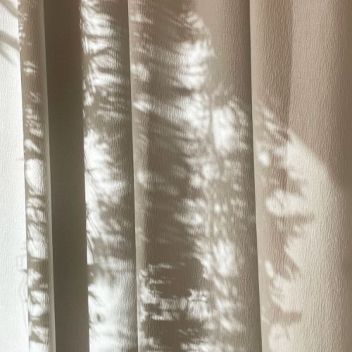 Collections - Dragontina in reflection © 6