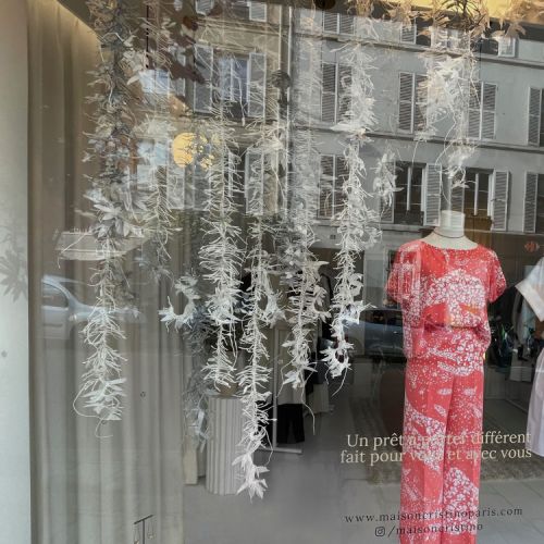 Collections - Dragontina en vitrine © 3