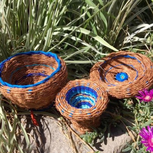 Collections - Tournis bleu Trio © - 1