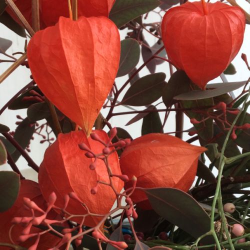 Collections - Physallis & Eucalyptus Bouquet © - 6